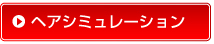 ヘアシミュレーション